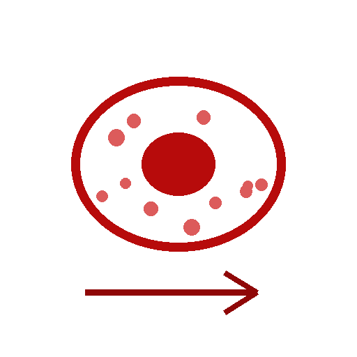 细胞生物学